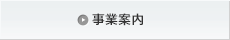 �Ɩ����e